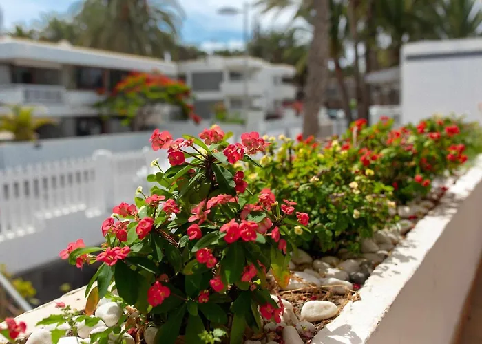 Apartamento Maypa 2 Salitre